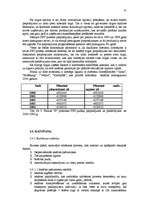 Referāts 'Biznesa plāns - uzņēmuma attīstības perspektīvu atspoguļotājs', 35.