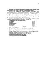 Referāts 'Biznesa plāns - uzņēmuma attīstības perspektīvu atspoguļotājs', 42.