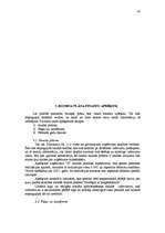 Referāts 'Biznesa plāns - uzņēmuma attīstības perspektīvu atspoguļotājs', 43.