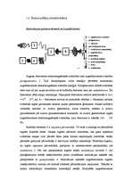Referāts 'Radioviļņi', 6.
