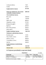 Biznesa plāns 'SIA "Medus pavēlnieks"', 20.