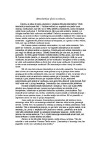 Eseja 'Demokrātijas plusi un mīnusi', 1.