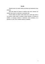 Referāts 'Histerēzes cilpa', 3.