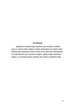 Referāts 'Histerēzes cilpa', 12.