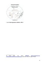 Konspekts 'Ergonomikas loma personāla darba dzīves un dzīves kvalitātes veicināšanā', 10.