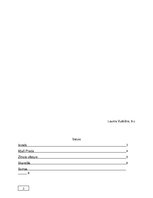 Referāts 'Projekts. Zīmols "Miu Miu"', 3.