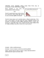 Referāts 'Projekts. Zīmols "Miu Miu"', 9.