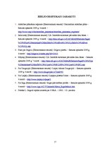 Referāts 'Dzīvojamo māju kopējās platības un dzīvojamā fonda analīze Rīgā, Daugavpilī, Lie', 17.