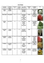 Konspekts 'Augu raksturojums', 2.