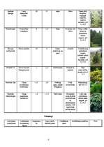 Konspekts 'Augu raksturojums', 4.