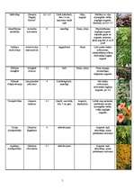 Konspekts 'Augu raksturojums', 5.