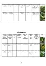 Konspekts 'Augu raksturojums', 6.