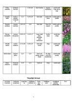 Konspekts 'Augu raksturojums', 7.