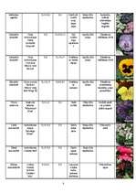 Konspekts 'Augu raksturojums', 8.