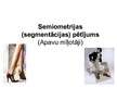 Prezentācija 'Semiometrija (segmentācija)', 1.