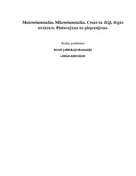 Konspekts 'Makroekonomika. Mikroekonomika. Cenas un tirgi, tirgus struktūra', 1.