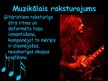 Prezentācija 'Prezentācija par blekmetālu (black metal)', 2.