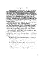 Referāts 'Pirmais pasaules karš', 2.