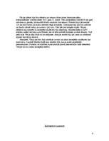 Referāts 'Pirmais pasaules karš', 6.