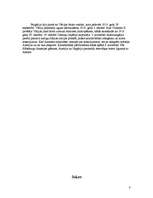 Referāts 'Pirmais pasaules karš', 8.