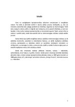 Referāts 'Enerģētikas sektors Latvijā - elektroenerģija', 3.