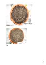 Referāts 'Notekūdeņu dūņu pārstrādes un izmantošanas iespējas', 70.