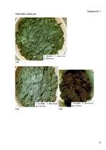 Referāts 'Notekūdeņu dūņu pārstrādes un izmantošanas iespējas', 71.