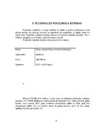 Referāts 'Pludmales volejbola attīstība pasaulē un Latvijā', 12.