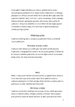 Referāts 'Uzņēmuma "Fitland" vizuālās komunikācijas pasākumu plānojums', 3.