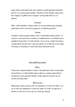 Referāts 'Uzņēmuma "Fitland" vizuālās komunikācijas pasākumu plānojums', 6.