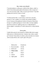 Referāts 'Uzņēmuma "Fitland" vizuālās komunikācijas pasākumu plānojums', 7.