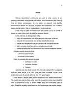 Referāts 'Brīvās ekonomiskās zonas Latvijā', 4.