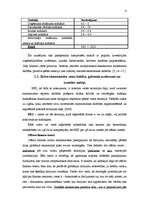 Referāts 'Brīvās ekonomiskās zonas Latvijā', 6.