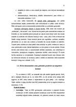 Referāts 'Brīvās ekonomiskās zonas Latvijā', 13.