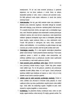 Referāts 'Brīvās ekonomiskās zonas Latvijā', 18.