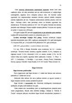 Referāts 'Brīvās ekonomiskās zonas Latvijā', 32.