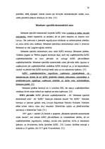 Referāts 'Brīvās ekonomiskās zonas Latvijā', 36.