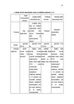 Referāts 'Brīvās ekonomiskās zonas Latvijā', 48.