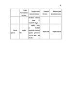 Referāts 'Brīvās ekonomiskās zonas Latvijā', 49.