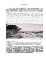 Eseja 'Zaķusalas attīstība', 1.