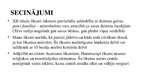 Prezentācija 'Hammurapi likumi, Divpadsmit tabulu likumi, Manu likumi', 15.