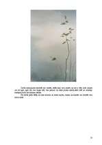 Referāts 'Līga Purmale. Ainava. Romantisms un impresionisms', 23.