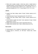 Referāts 'Galvojums kā viens no saistību pastiprināšanas līdzekļiem', 27.