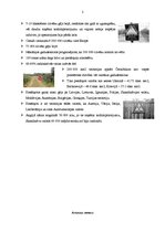 Referāts 'Černobiļas atomelektrostacijas avārija', 2.