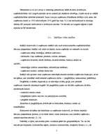 Referāts 'Uzņēmējdarbības attīstība Latgales novadā: situācijas analīze un novērtējums', 5.