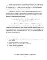 Referāts 'Uzņēmējdarbības attīstība Latgales novadā: situācijas analīze un novērtējums', 17.