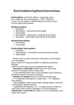 Konspekts 'Karbonskābes iegūšana un izmantošana', 1.