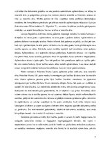 Referāts 'Laulības šķiršanas lietu vešana pie zvērināta notāra', 9.