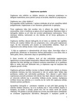 Biznesa plāns 'Uzņēmums "Ideju darbnīca"', 5.