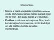 Prezentācija 'Šūnu dalīšanās', 5.